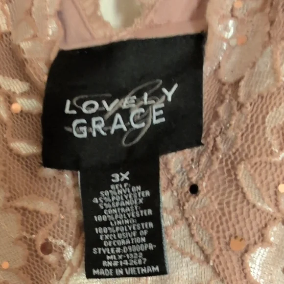 Chic Floral Lace Maxi Dress in Blush NWOT - Picture 8 of 9